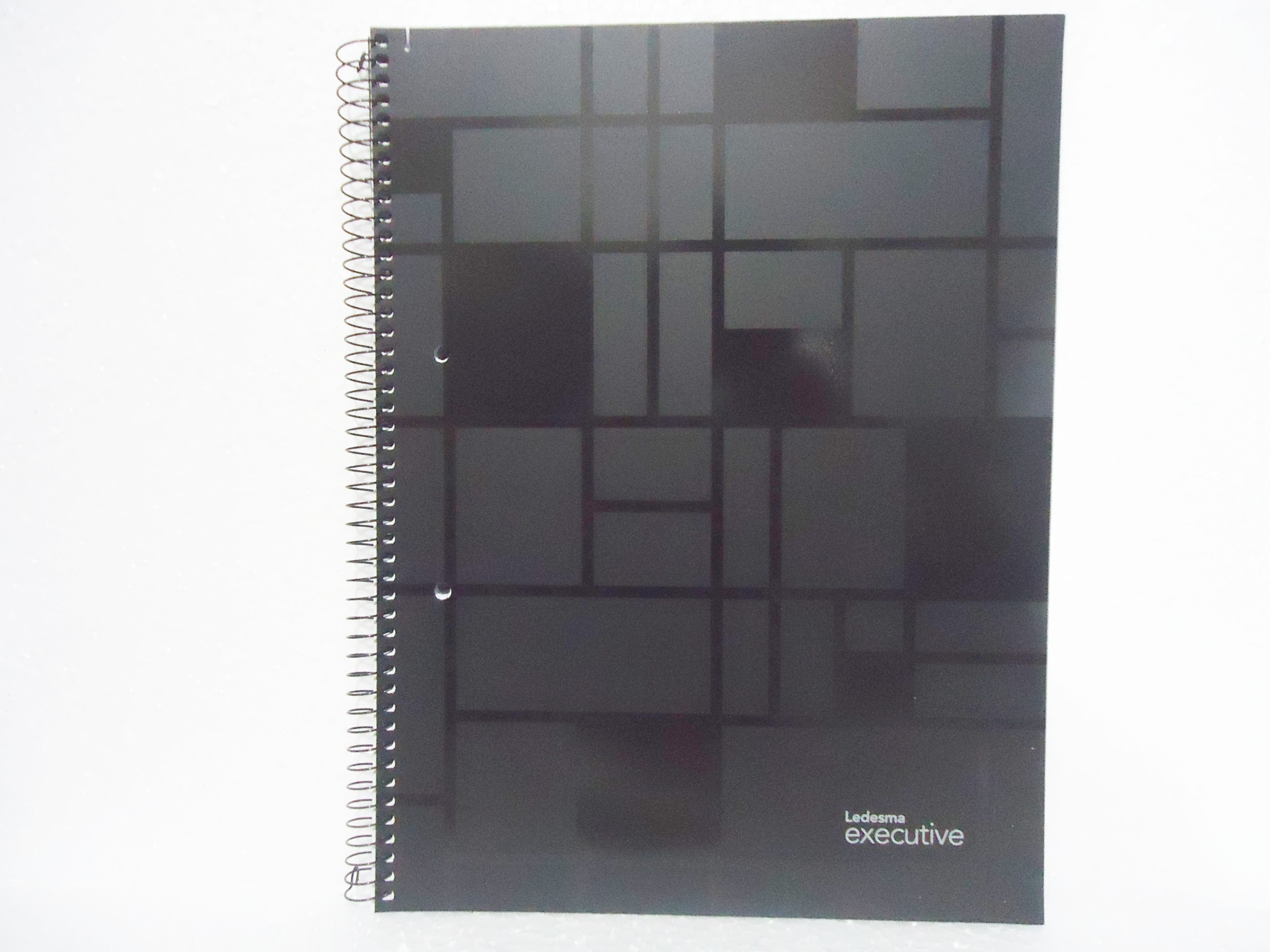 CUADERNO A5 LEDESMA EXECUTIVE 120h