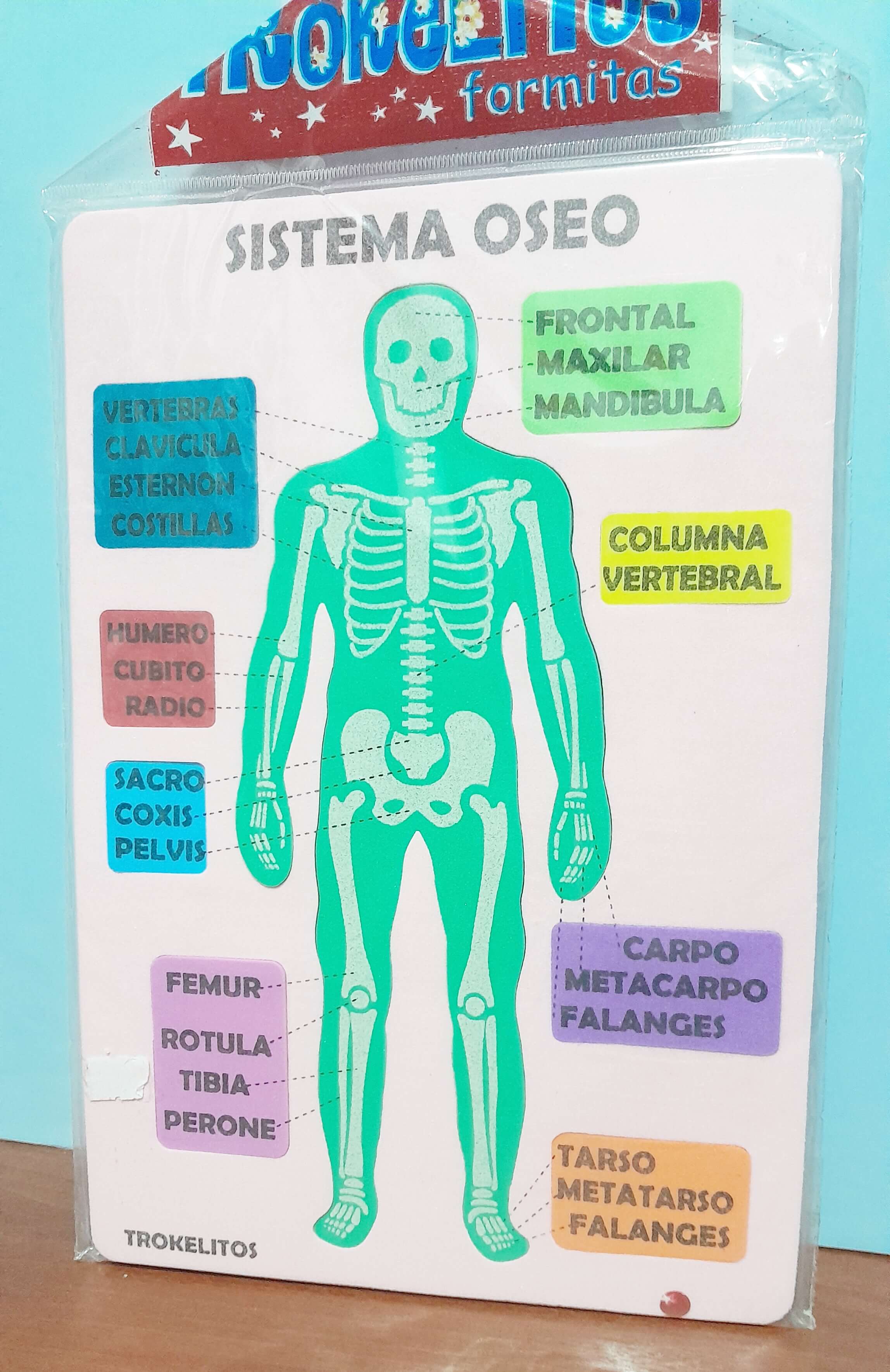 FORMITA GOMA EVA CUERPO HUMANO