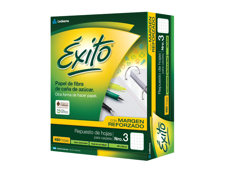 REPUESTO EXITO x 480 C/MARGEN CUADRICULA