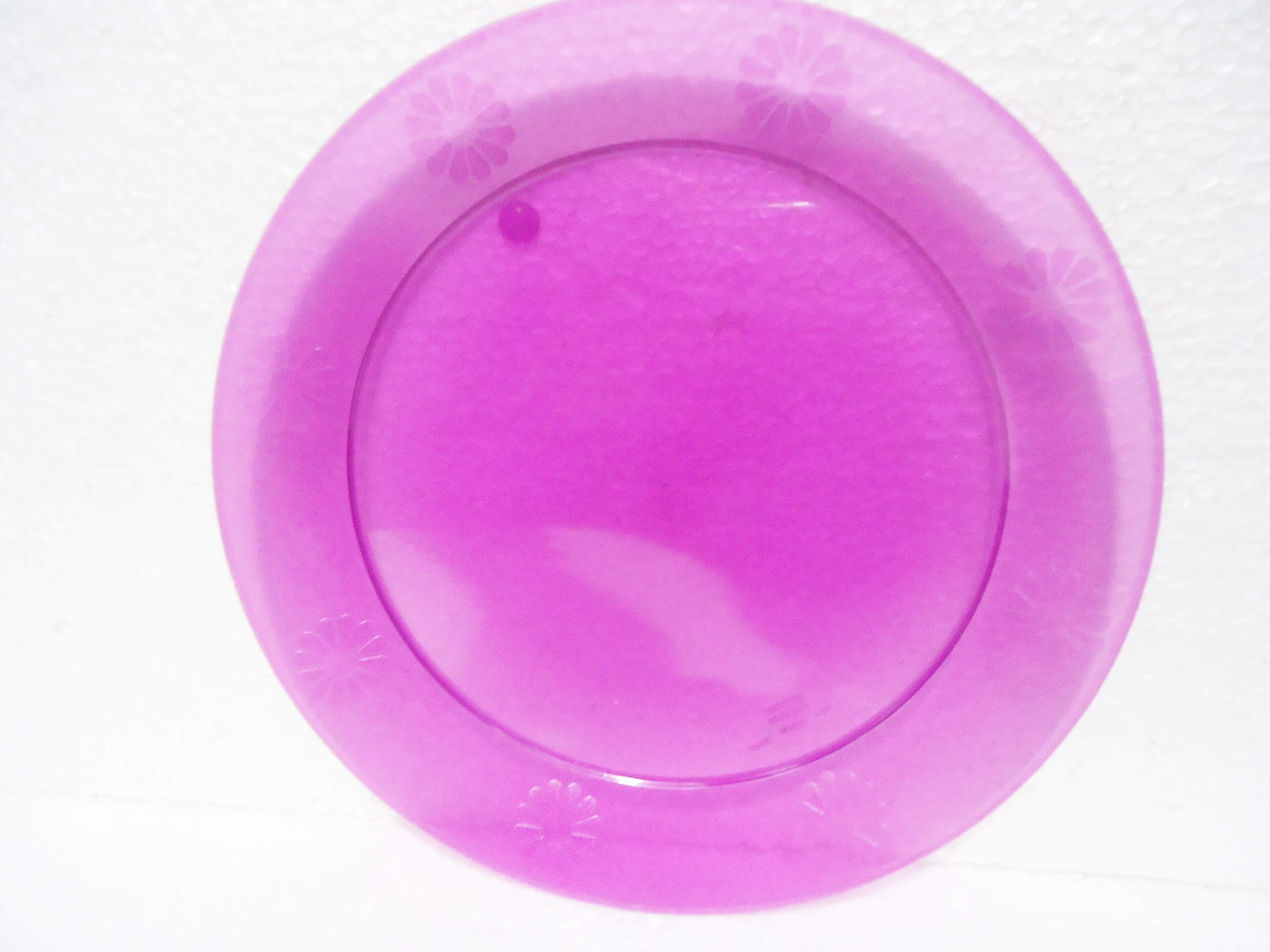 PLATO RIGIDO GRANDE 23cm VIOLETA x10