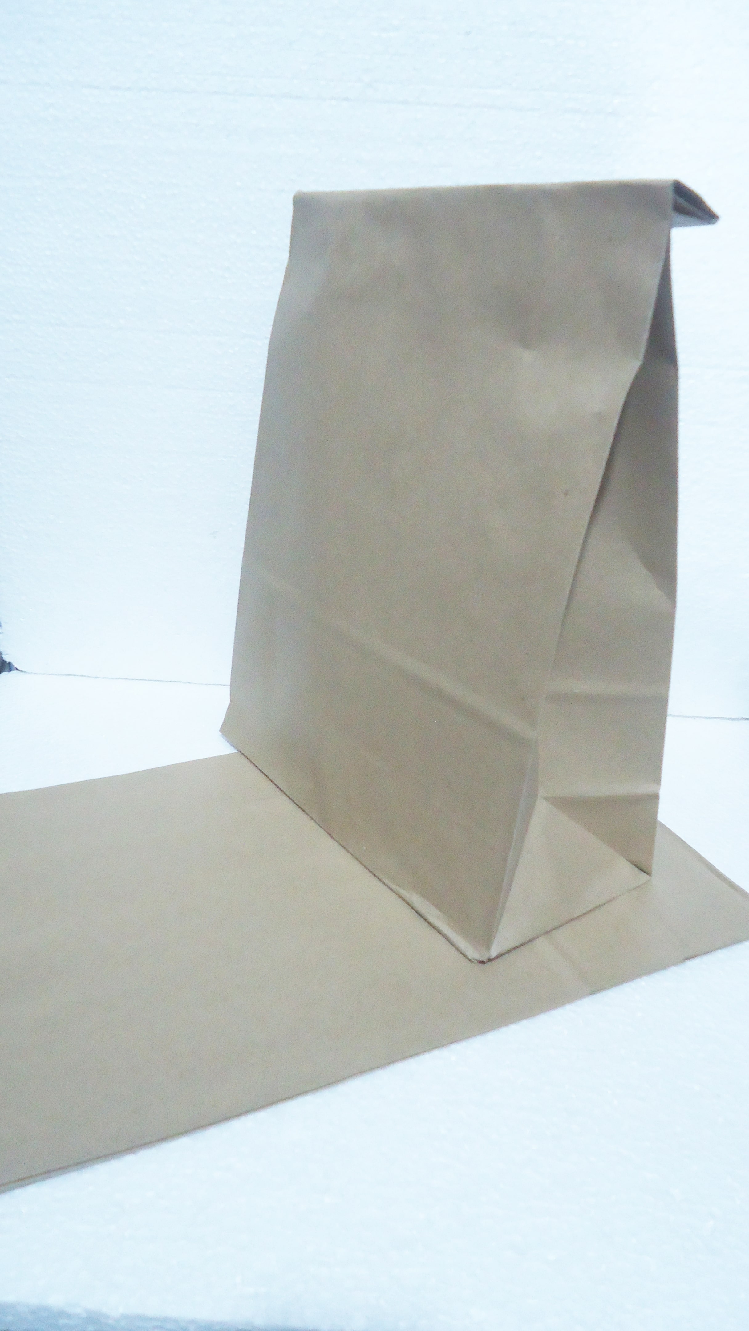 BOLSA DELIVERY 26x38x13 KRAFT FM8