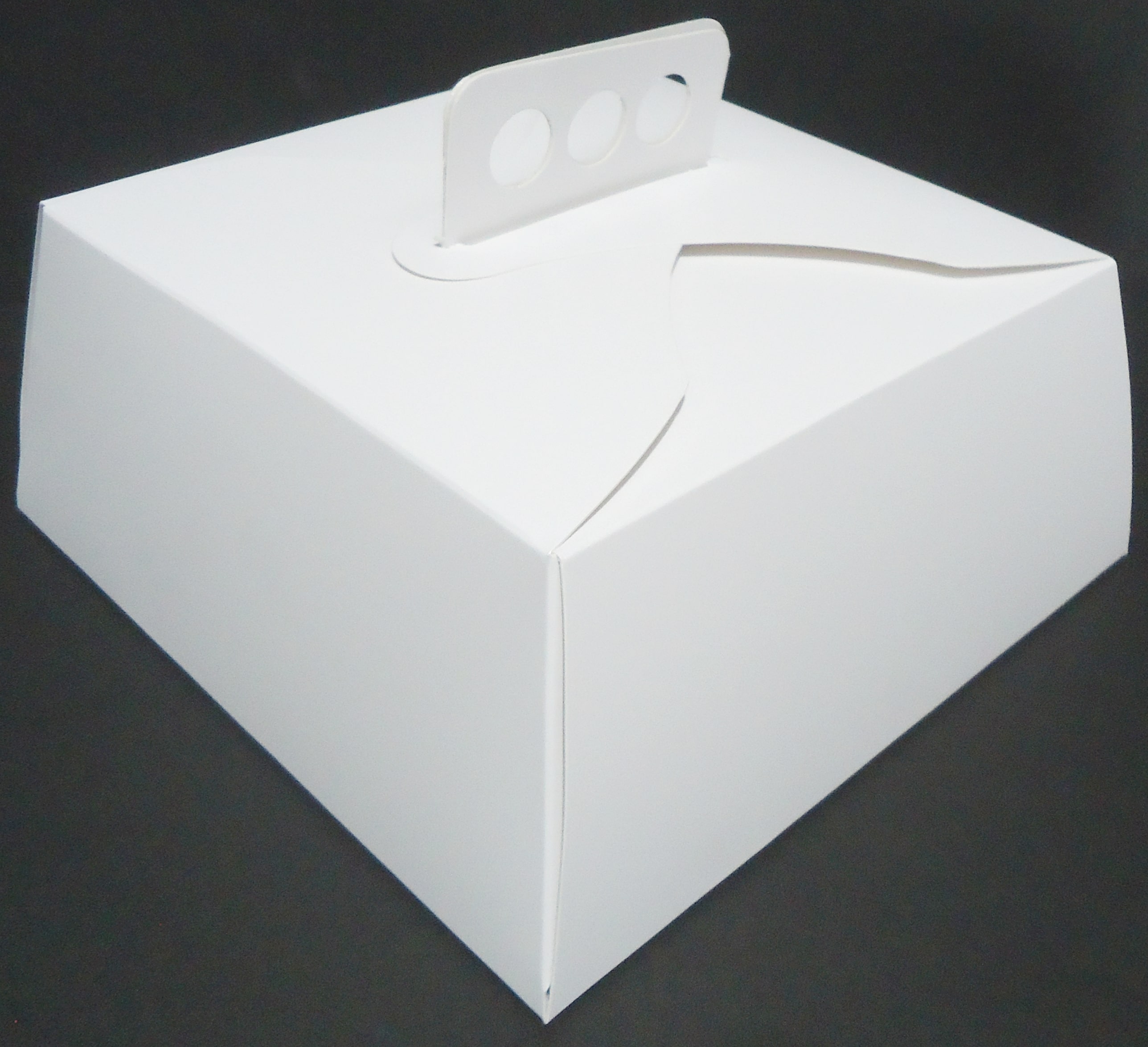 CAJA DE TORTA MALETIN BLANCA 24x24x12