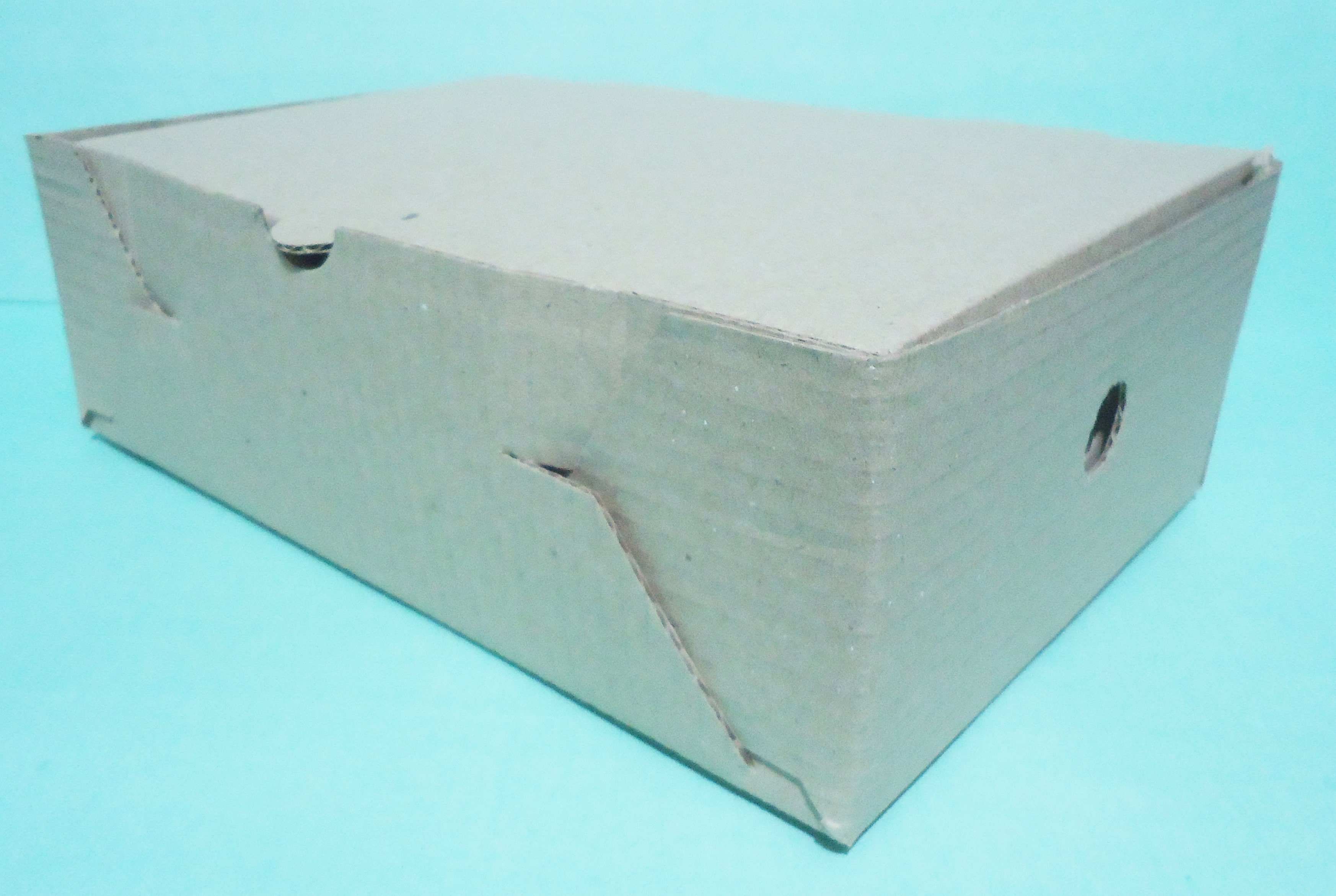 CAJA SUSHI CORRUGADA MEDOR 13.5x25x8