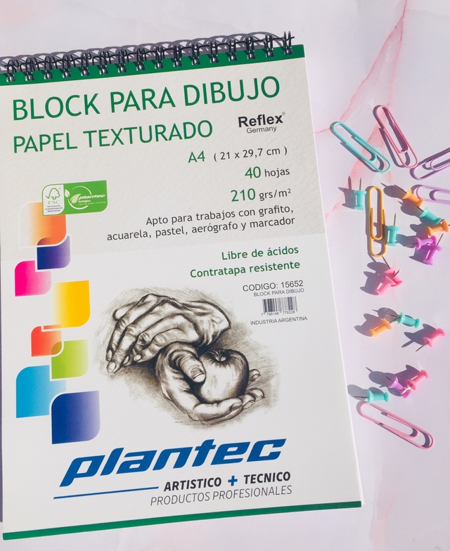 BLOCK DIBUJO ANILLADO A4 210GRX40H TEXTU