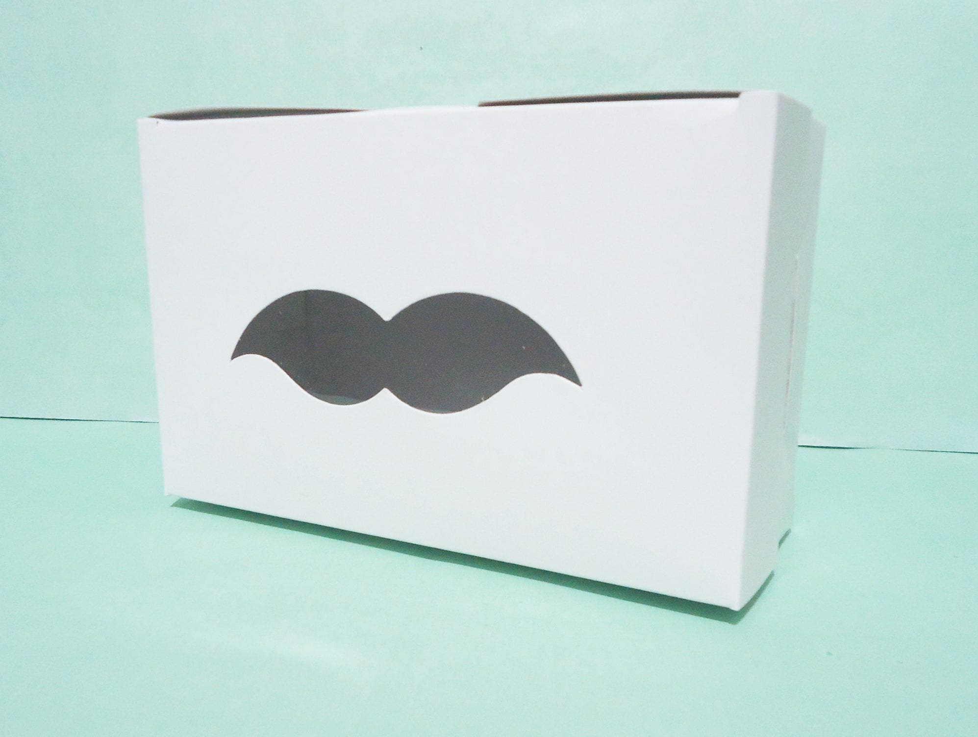 CAJA BIGOTES 17X11X6.5