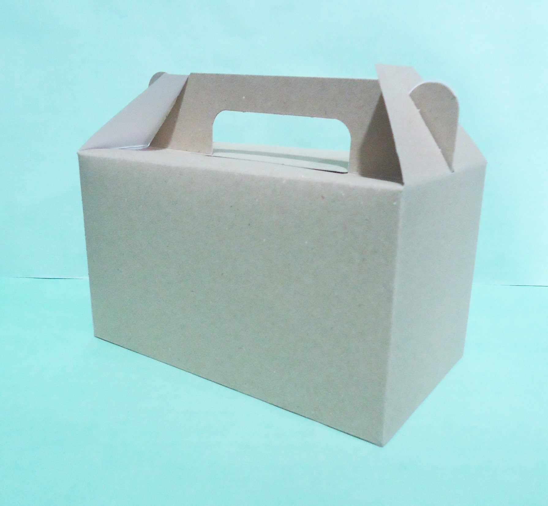 CAJA MALETIN KRAFT 19x11x11