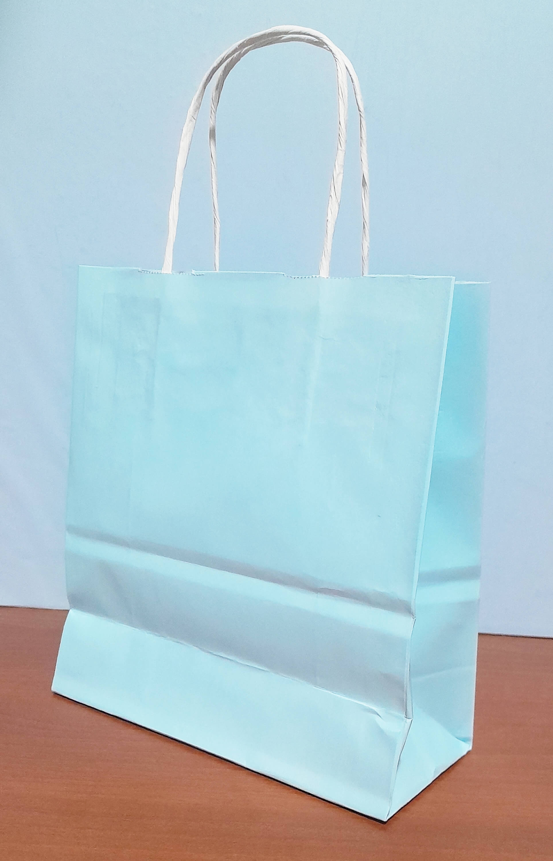 BOLSA C/CORDON 18X20X8 CELESTE PASTEL