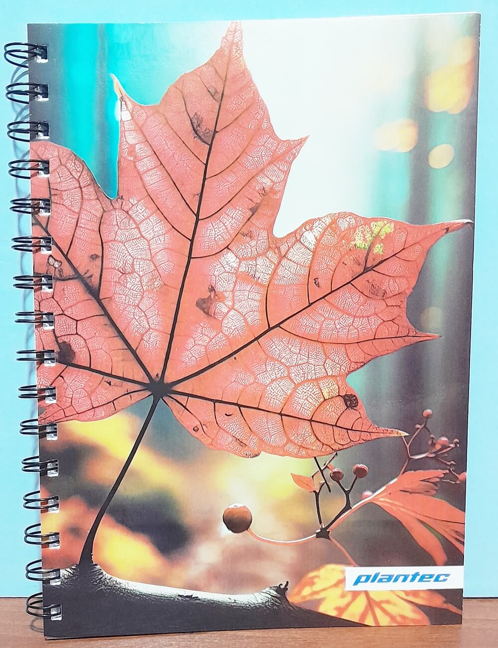 CUADERNO A5 BOCETO LISO 80GR ESPIRALX60H