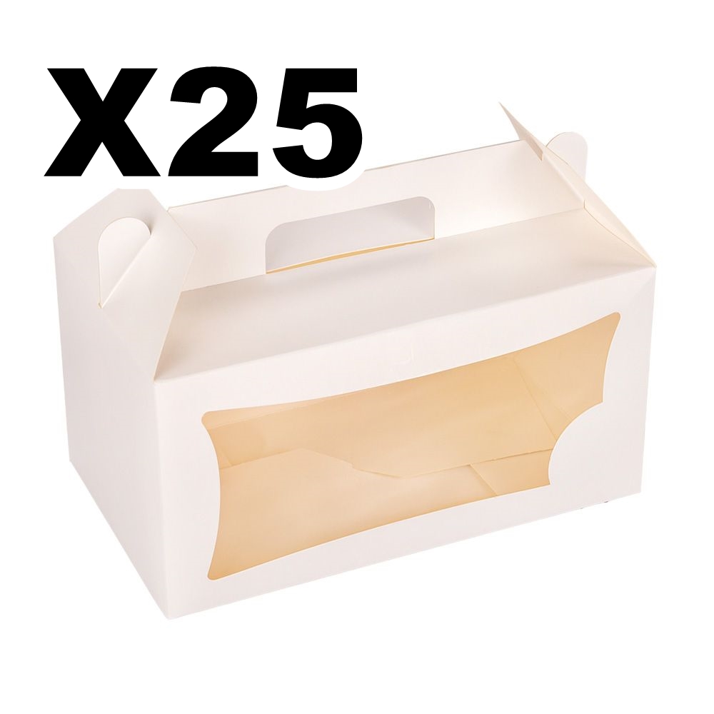 CAJA 41 MALETIN VISOR 25x13x14 x25
