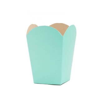POCHOCLERA X10 LISA VERD PASTEL/AQUA