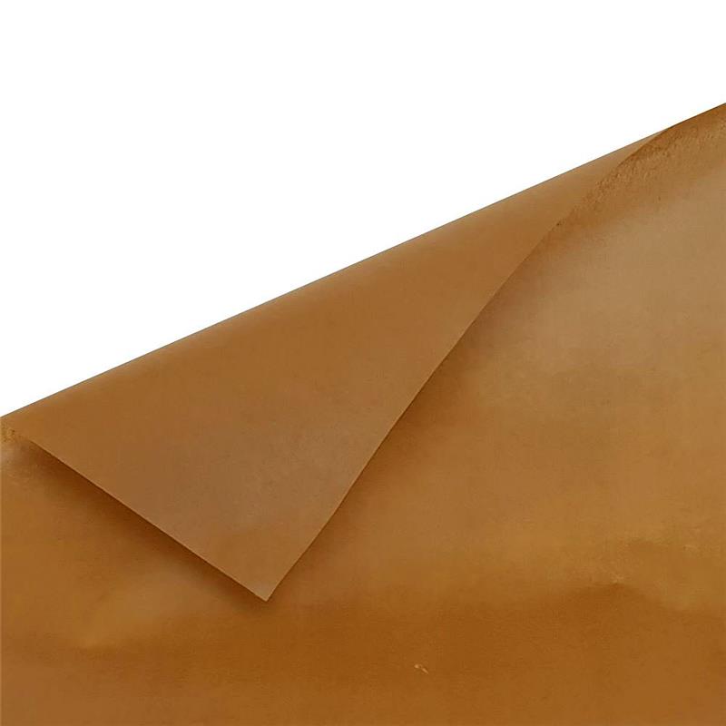 REPOSTERIA