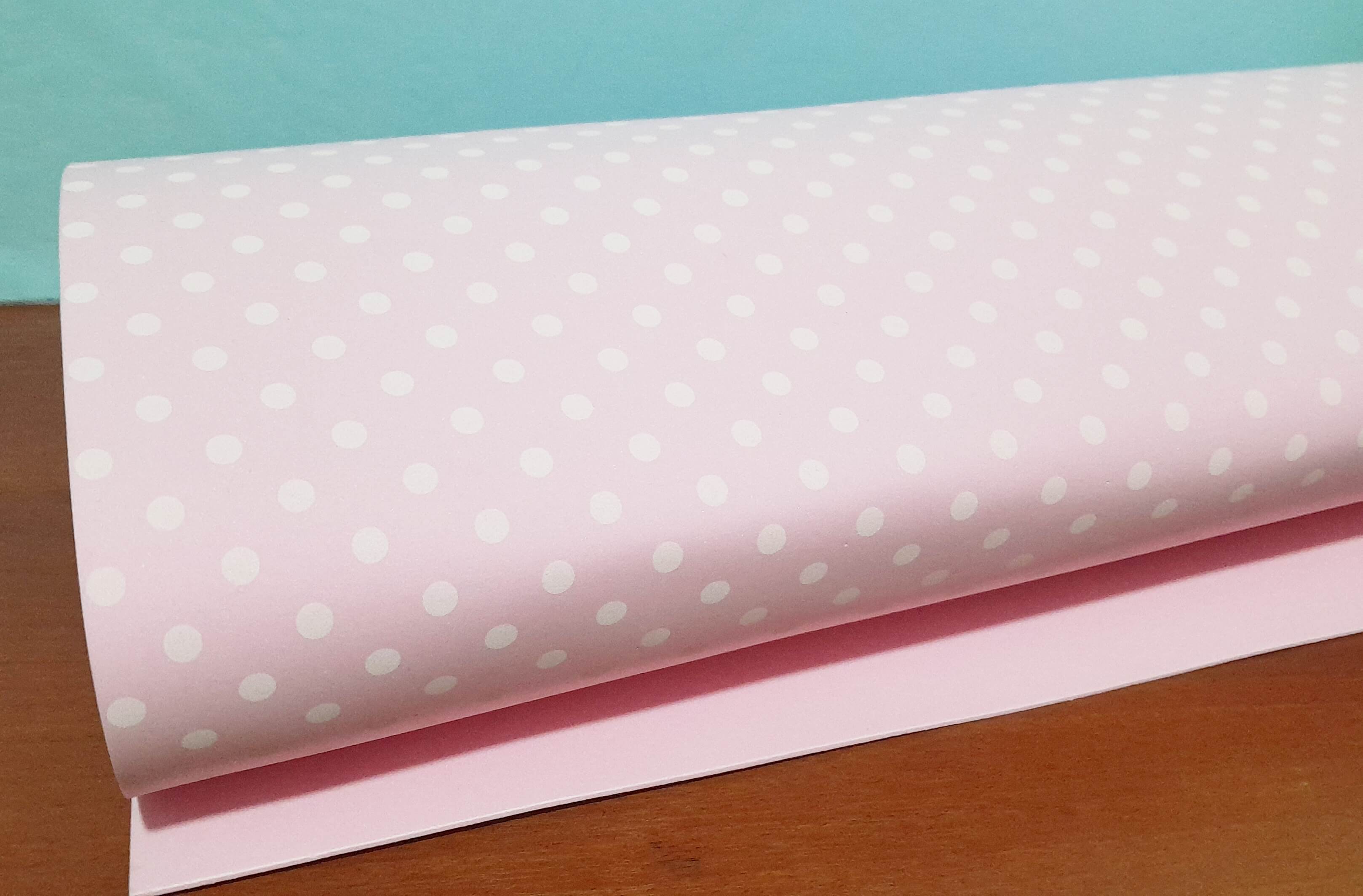 REPOSTERIA