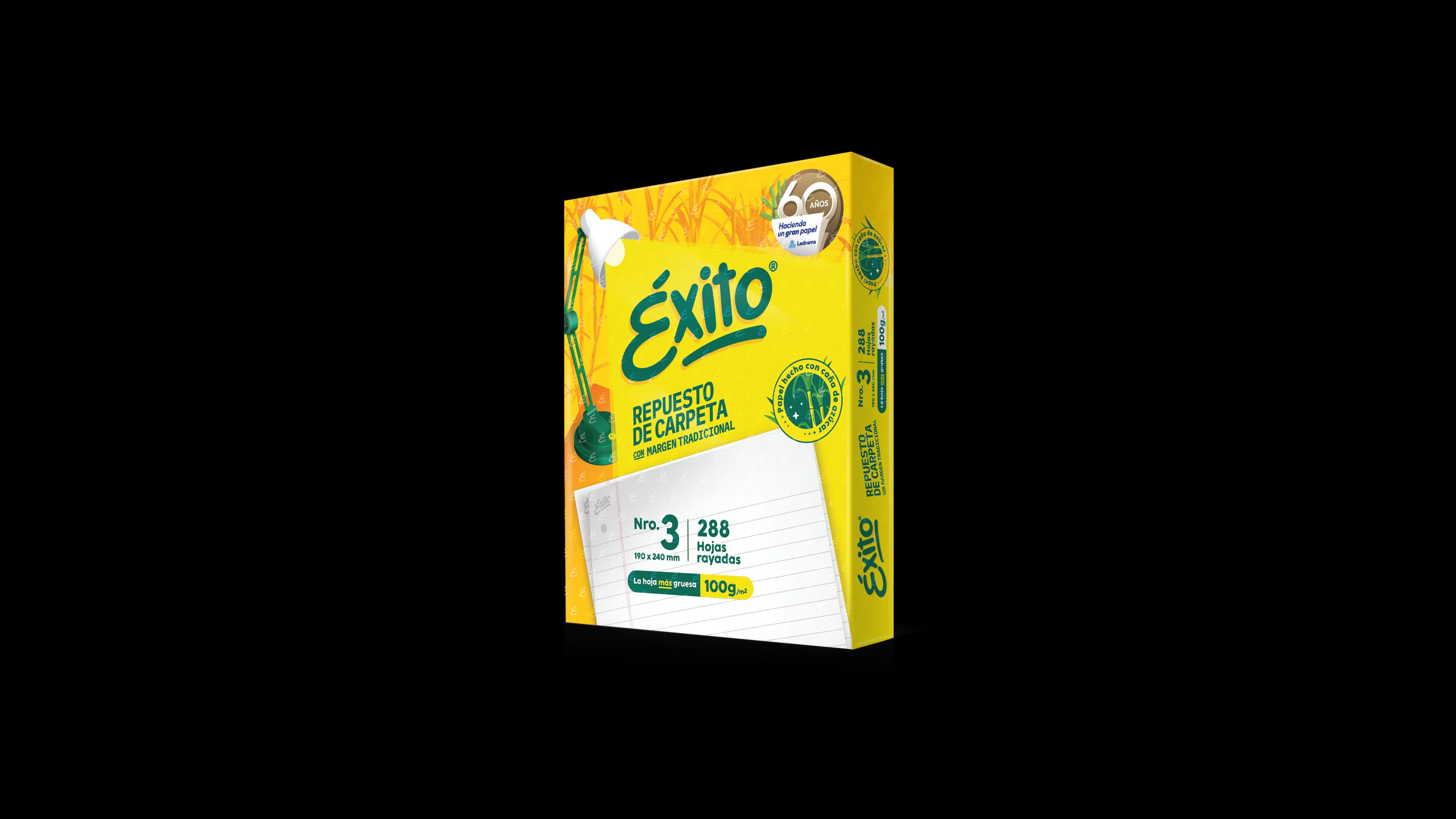REPUESTO EXITO x 288 RAYADO