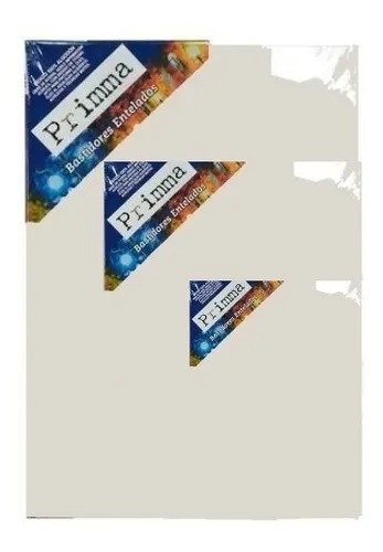 BASTIDOR 18X24 GINES PRIMA