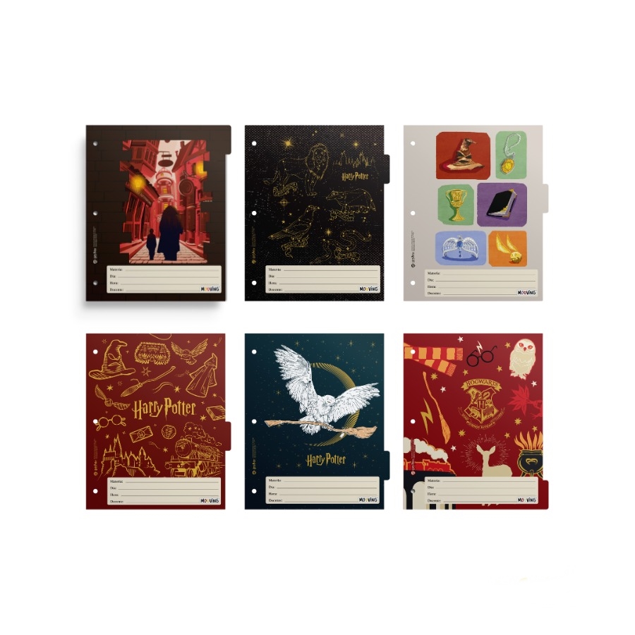 ASIGNATURA Nº3 MOOVING HARRY POTTER