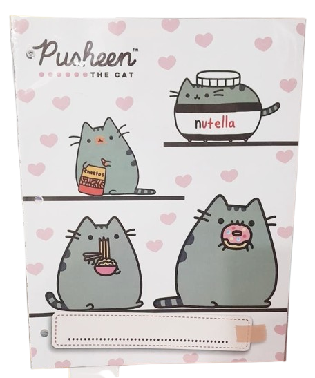 ASIGNATURA N°3 NORCA ECO X6 PUSHEEN