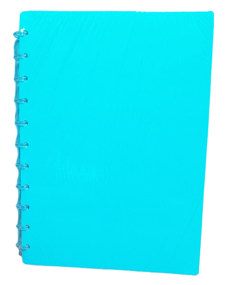 REPOSTERIA
