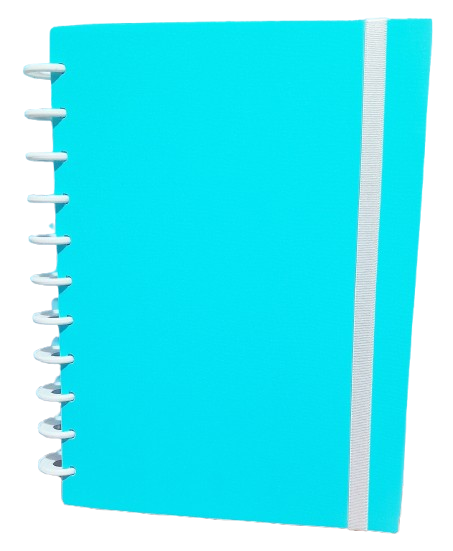 REPOSTERIA