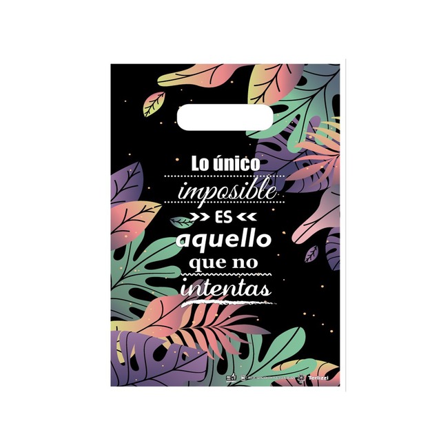 BOLSA RIÑON TERLIZZI 25x35 x50 FRASES 2W