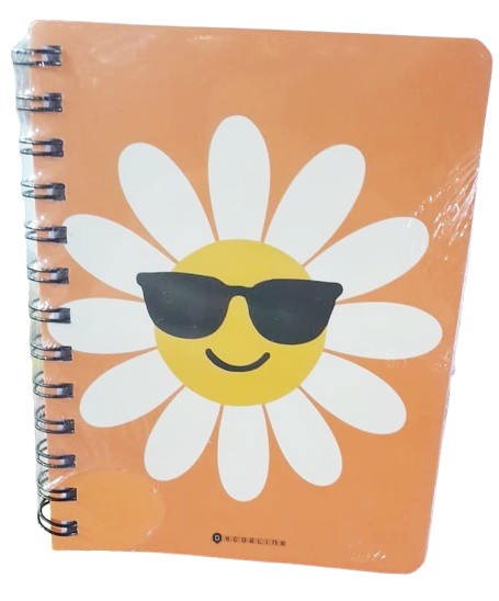 CUADERNO 13X17 ESPIRAL X80HJS = DE132710