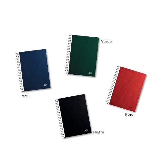 AGENDA N°6 DIAXDIA ARWEN CLASSIC